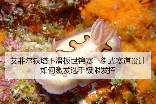 艾菲尔铁塔下滑板世锦赛：街式赛道设计如何激发选手极限发挥