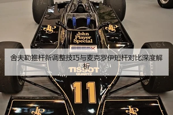 舍夫勒推杆新调整技巧与麦克罗伊短杆对比深度解析